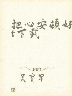 把心安顿好txt下载