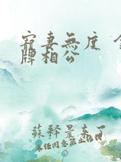 宠妻无度  金牌相公