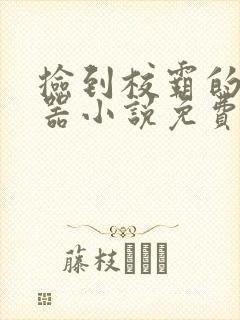 捡到校霸的遥控器小说免费阅读无弹窗