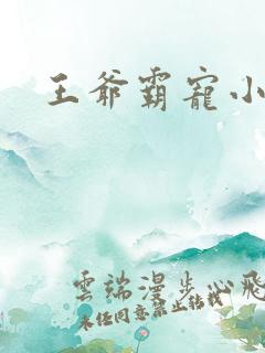 王爷霸宠小甜妻