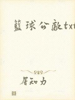 篮球公敌txt