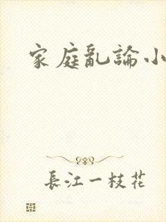 家庭乱论小说