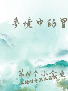 梦境中的冒险家