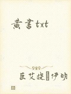 黄书txt
