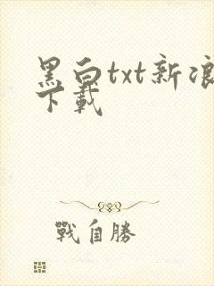 黑白txt新浪下载