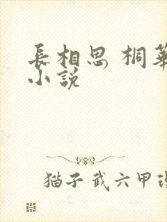 长相思 桐华 小说