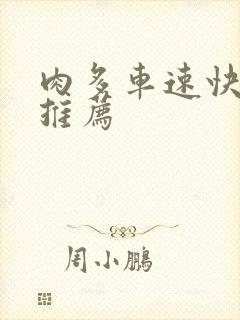 肉多车速快的书推荐
