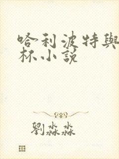 哈利波特与火焰杯小说