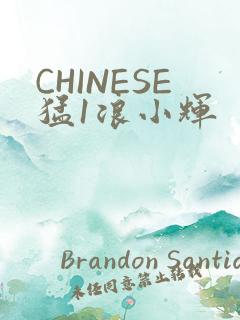 CHINESE猛1浪小辉