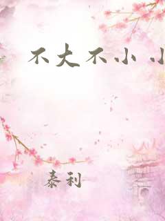 不大不小 小说