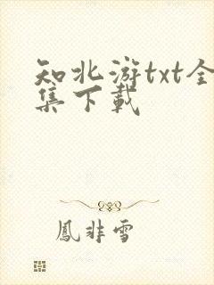 知北游txt全集下载