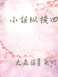 小说纵横四海