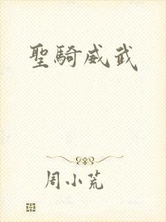圣骑威武