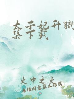 太子妃升职记全集下载