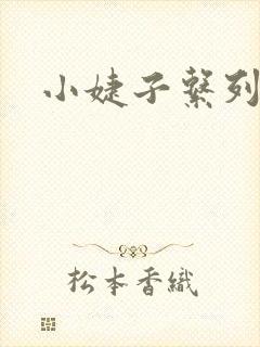 小婕子系列小说