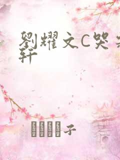 刘耀文C哭宋亚轩