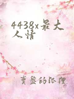 4438x最大人情