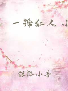 一号红人 小说
