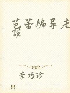 芭蕾编导老师小说