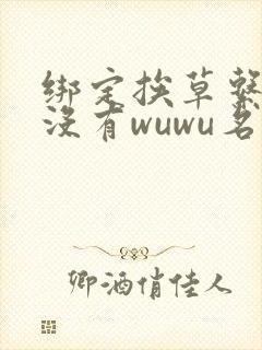 绑定挨草系统后没有wuwu名字