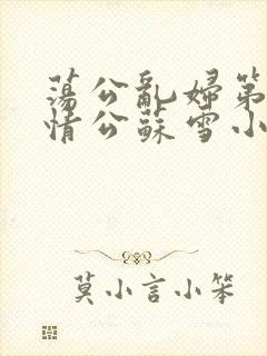 荡公乱妇第1章情公苏雪小说