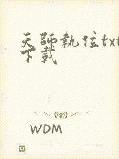 天师执位txt下载