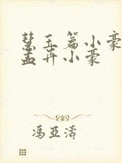 慧玉篇小豪续上孟卉小豪