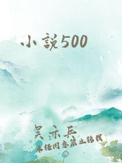 小说500