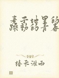 麦子地里的故事躁动的青春小说