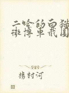 二哈的白猫师尊微博车截图