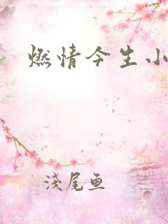 燃情今生小说