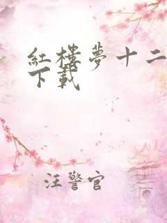 红楼梦十二金钗下载