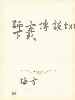 师士传说txt下载