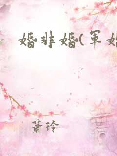 婚非婚(军婚)