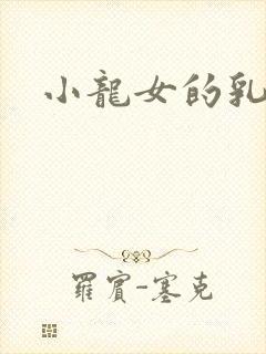 小龙女的乳头