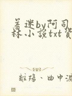 着迷by阿司匹林小说txt资源