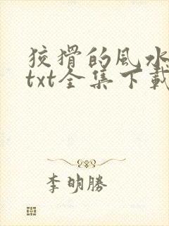 狡猾的风水相师txt全集下载