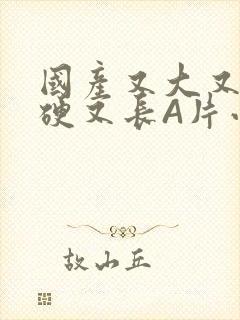 国产又大又粗又硬又长A片小说