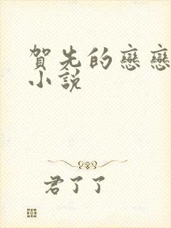 贺先的恋恋不忘小说