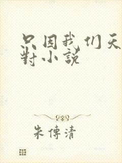 只因我们天生一对小说