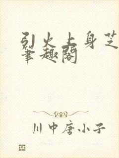 引火上身芝麻糖笔趣阁