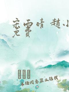 宋雨晴 赵小刚免费