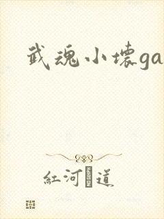 武魂小坏ga