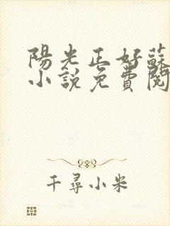 阳光正好苏玥玥小说免费阅读无弹窗