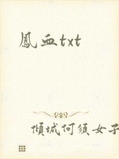 凤血txt