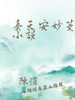 秦天安妙菱修仙小说