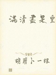 满清尽是皇阿哥