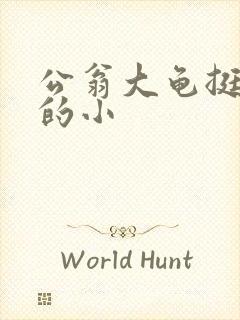 公翁大龟挺进我的小