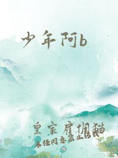 少年阿b
