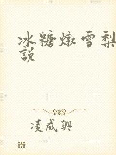 冰糖炖雪梨 小说